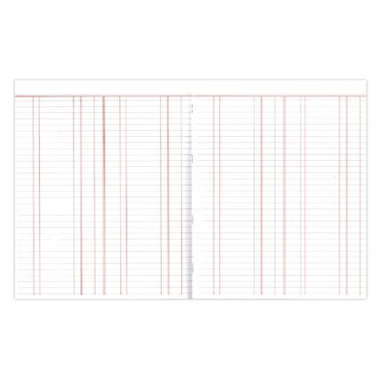Silvine A4 book keeping ledger notebooks - pack of 6 books-2127
