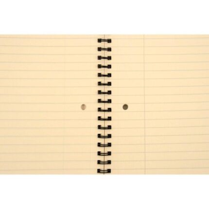 Pukka pad metallic vellum notebook A5 120 lined ruled pages - pack of 3 pads-3020